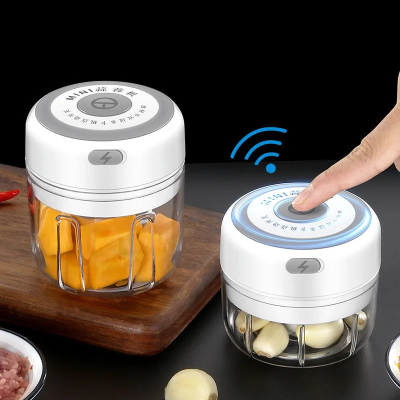Mini Electric Garlic Chopper 100ml/250ml – USB Rechargeable Food Processor with Stainless Steel Blades, Portable Onion &amp; Vegetable Chopper for Kitchen, Baby Food &amp; Meal Prep