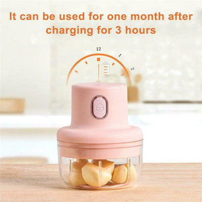 Mini Electric Garlic Chopper 100ml/250ml – USB Rechargeable Food Processor with Stainless Steel Blades, Portable Onion &amp; Vegetable Chopper for Kitchen, Baby Food &amp; Meal Prep